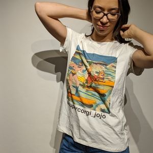 RARE @supercorgi_jojo Batman Robin Superman CorgiT